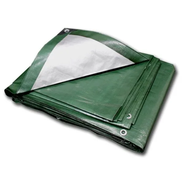 Green One Side Silver Other side